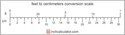 5.3 Foot to Centimeter Conversion Calculator